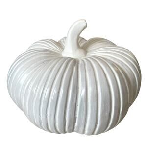 Large White Clay Pumpkin 13x10 Made in India New